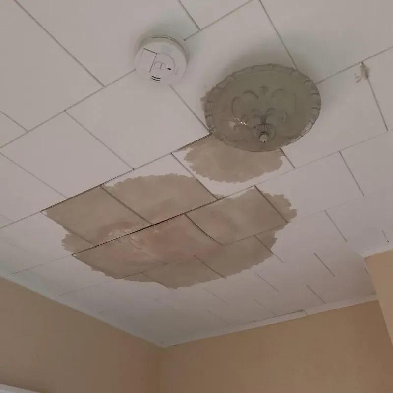 Ceiling Water Damage Repair in Floyd County, IA