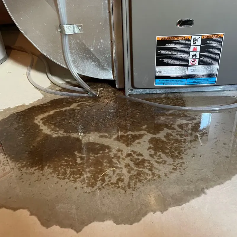 Pipe Burst and Leak Restoration in Floyd County, IA