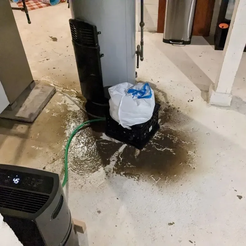 Sewage Backup Cleanup Service in Floyd County, IA